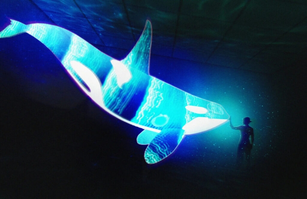 Critical Distance: An AR journey into the lives of endangered Southern Resident Killer Whales. Learn, explore, and help protect the Salish Sea.