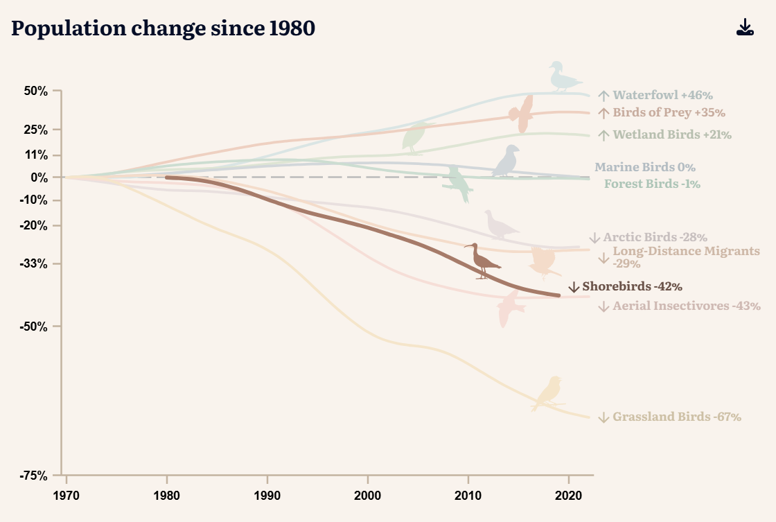 Line graph titled 'Population change since 1980' showing the population trends of various bird groups such as Waterfowl, Wetlands Birds, Forest Birds, Arctic Birds, Long-Distance Migrants, Shorebirds, Aerial Insectivores, and Grassland Birds from 1970 to 2020. Each group's population change percentage as of 2020 is indicated next to its name. Focusing on Shorebirds that have declined by 42%