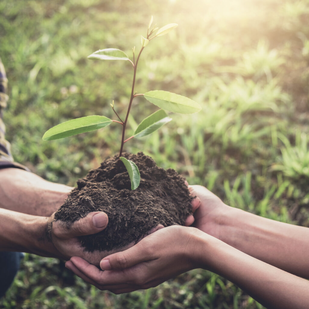 two people holding a mound of dirt and a tree to be planted