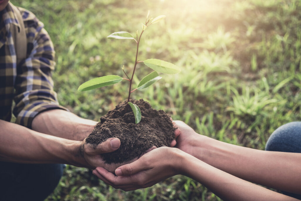 Nature Network Highlight: Growing Living Cities with Green Communities Canada