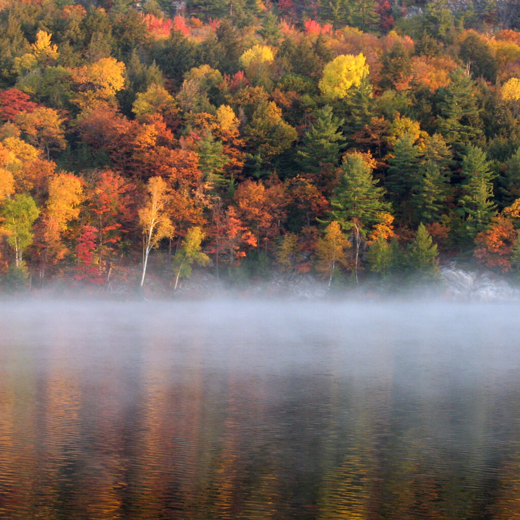 Mist rises from a calm lake in front of a dense forest showcasing vibrant fall colors of red, orange, and yellow mixed with green pine trees.