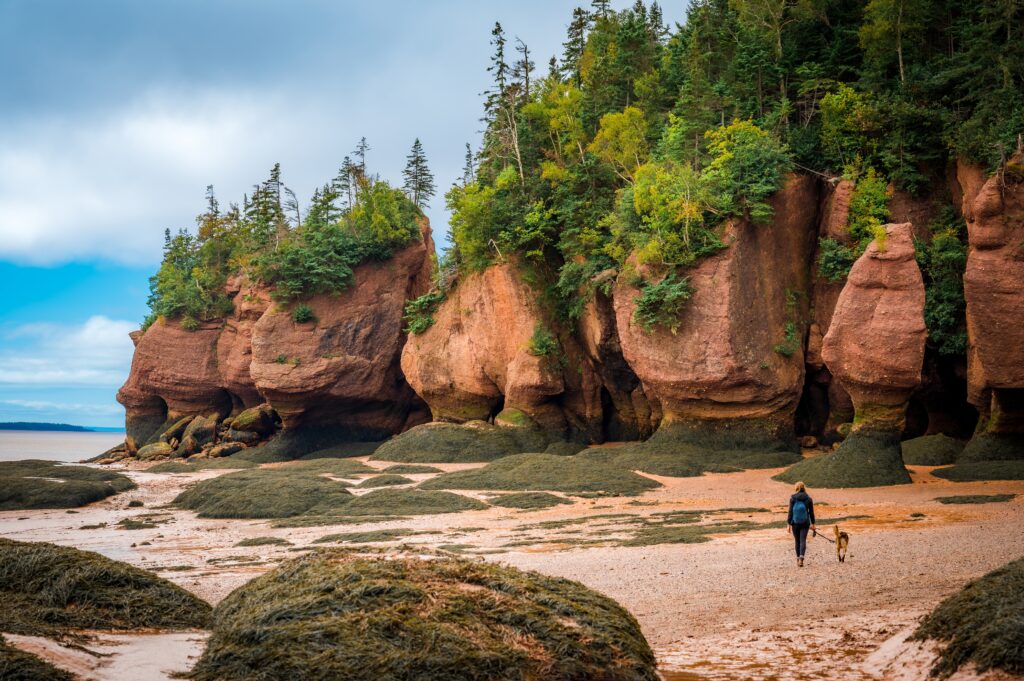 Nature Network Showcase: Nature NB – Advocating for ecosystem protection at Nature on the Hill 2025