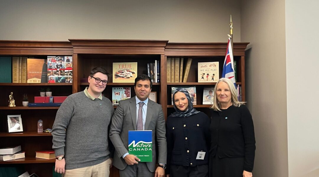 Taleeb Noormohamed meeting