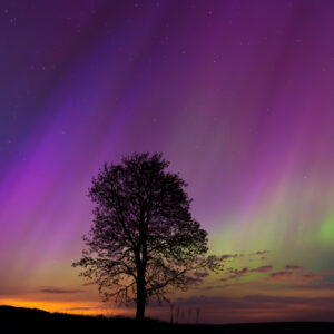 © Raghuvamsh Chavali