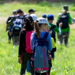 Children-Outdoors-Guided-Walk Children-Outdoors-Guided-Walk