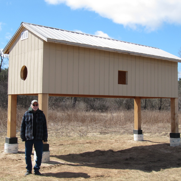 Barn Swallow House Finally Built in Hamilton (2024)