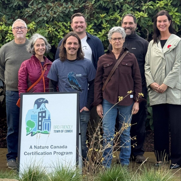 Bird Friendly Comox with Mayor Nicole Minnons