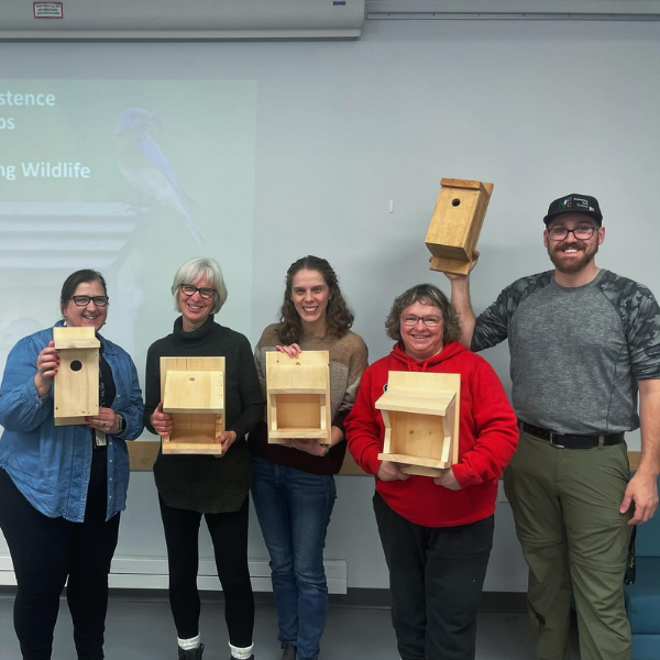 Bird Friendly Kawartha Lakes Nest Box Building Workshop (2024)