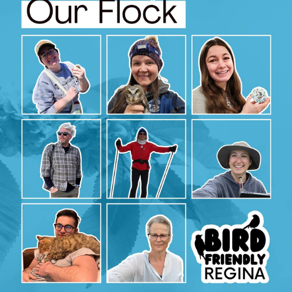 Bird Friendly Regina Team (2026)