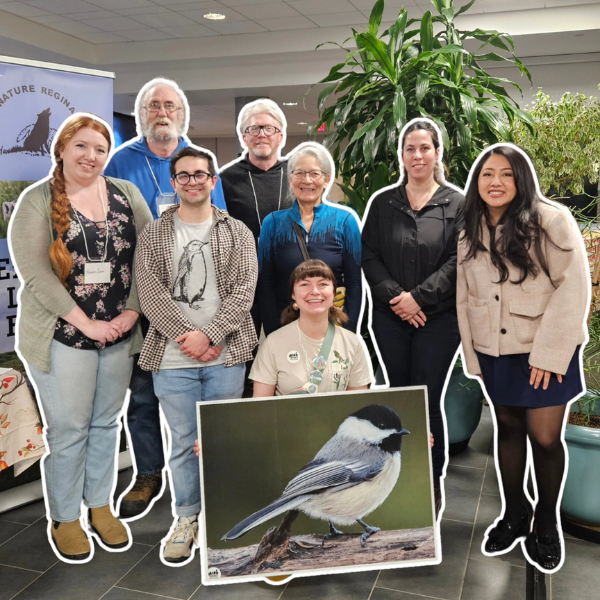 Bird Friendly Regina and Nature Regina Celebrating their City Bird (2024)