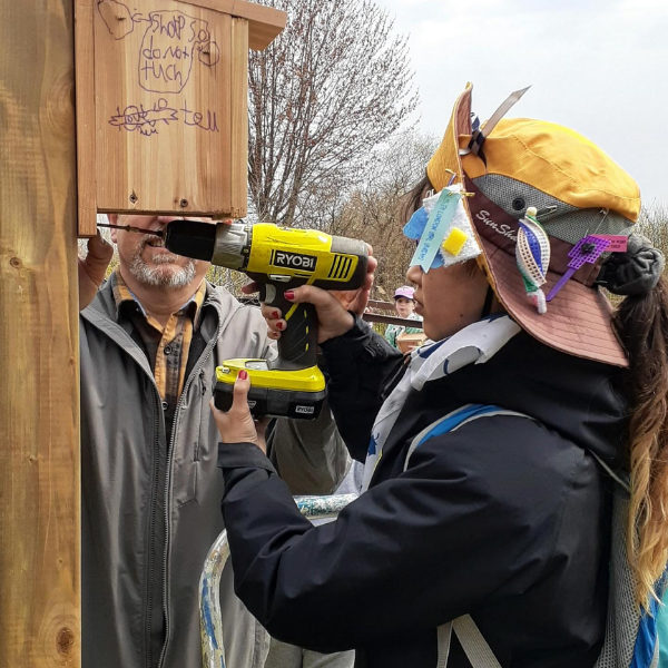 Building Bird Boxes in Sarnia, ON (2025)