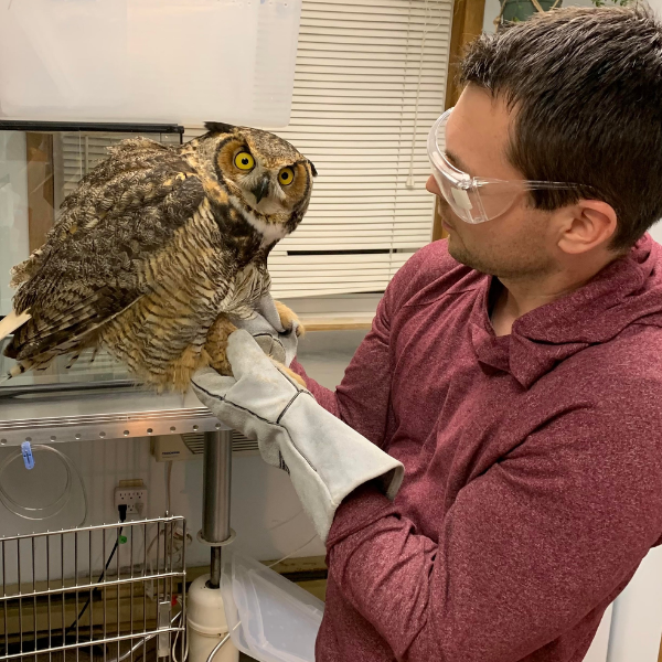 Kawartha Wildlife Centre and Bird Friendly Peterborough Chair, Thum Luloff (2023)
