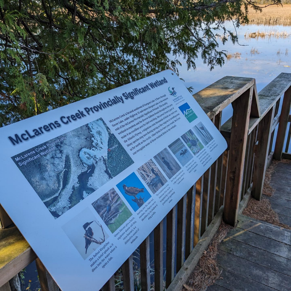 McLaren's Creek Wetland Interpretive Signage, funded in part by Nature Canada (2023)