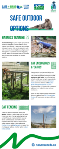 Safe outdoor options_Infographic COVER