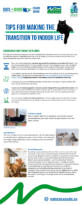 Tips for making the transition to indoor life_Infographic COVER