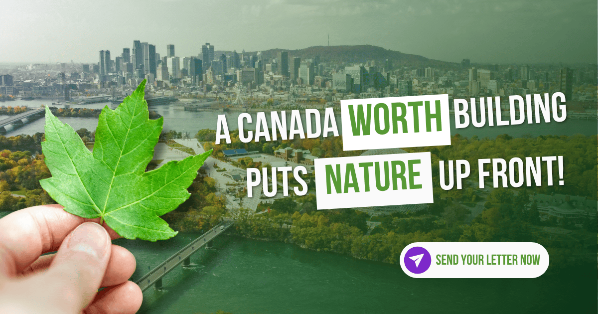 A Canada worth building NOTH LTT Social Share - PNG - 1200 x 630