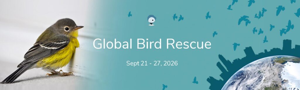 Make Every Bird Count! Join Global Bird Rescue 2026