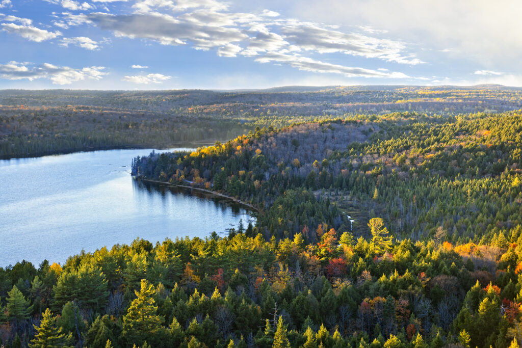 A Conversation with Thea Silver, Senior Director, Environmental Impact, RBC about Nature Positive Cities